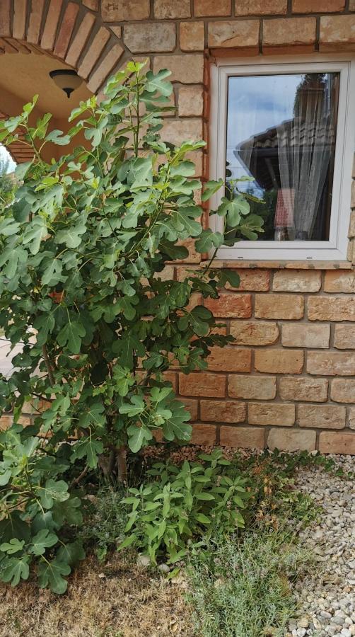 Mediterrania Apartment Keszthely Εξωτερικό φωτογραφία